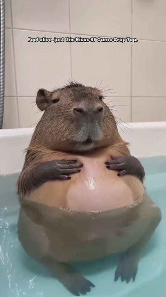 Kicxs SF Camo Long-Sleeve Crop Top